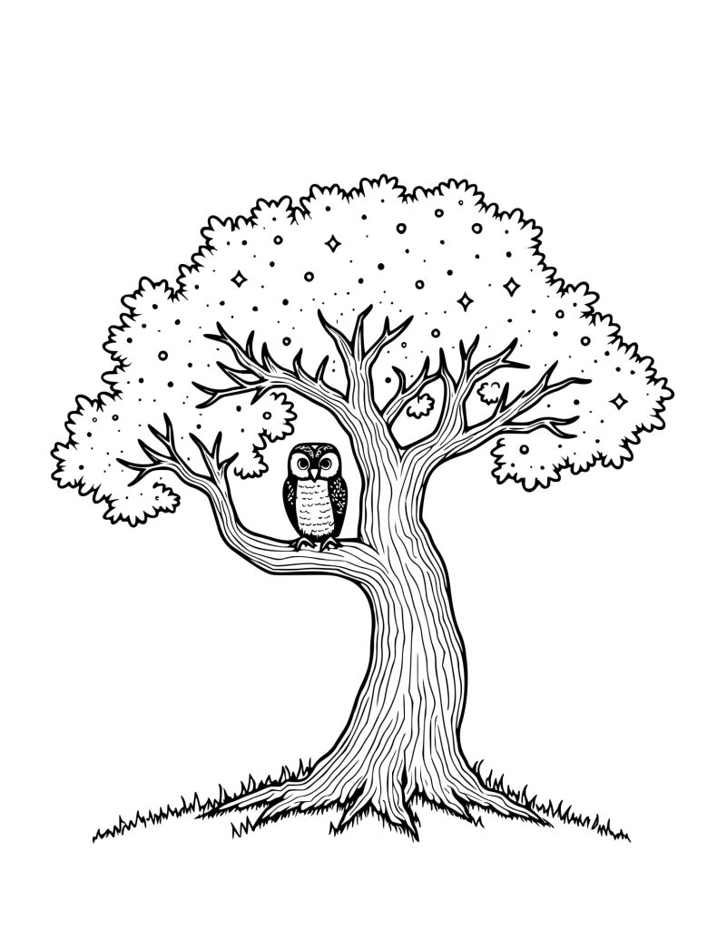 Desenho de Coruja Noturna para Colorir
