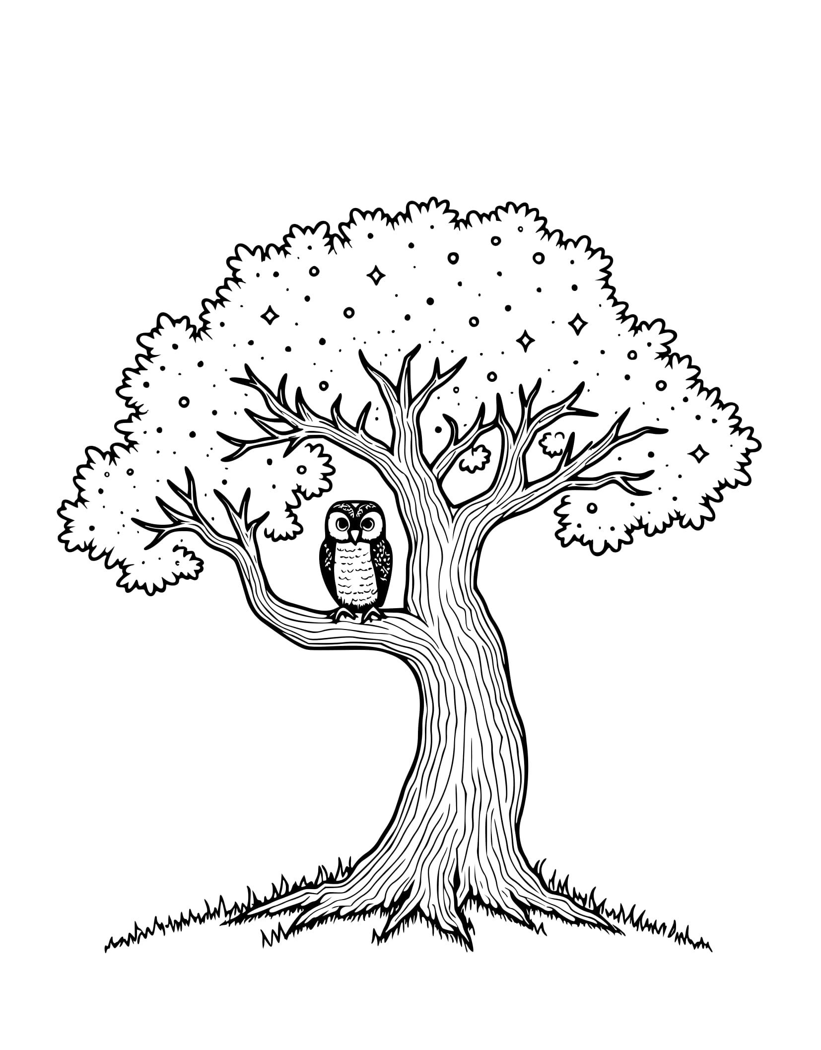 Desenho de Coruja Noturna para Colorir
