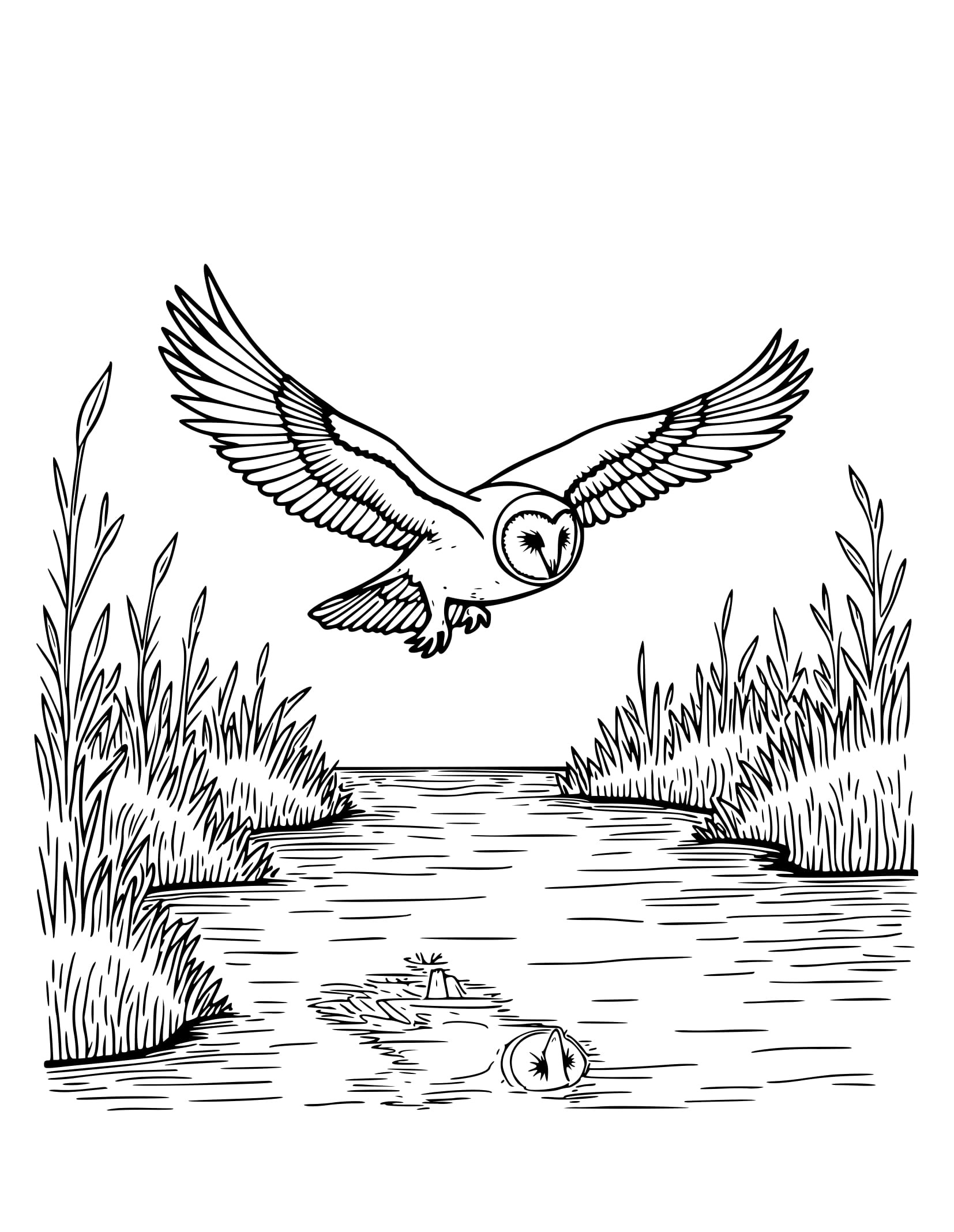 Desenho de Coruja Voando na Floresta para Colorir