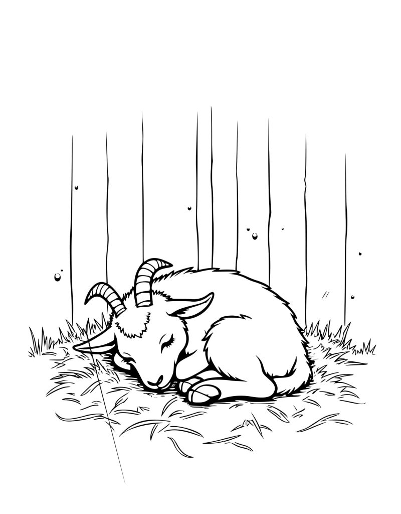Desenho de Dormindo Cabra para Colorir