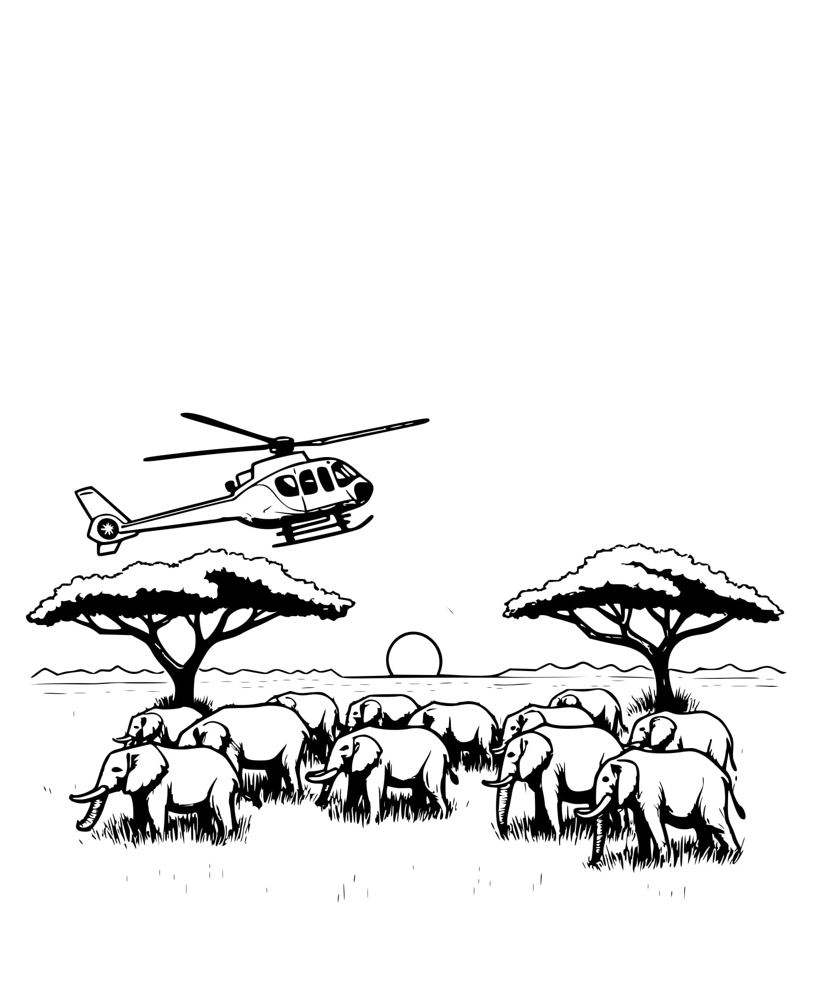 Desenho Helicóptero Observando Elefantes para Colorir