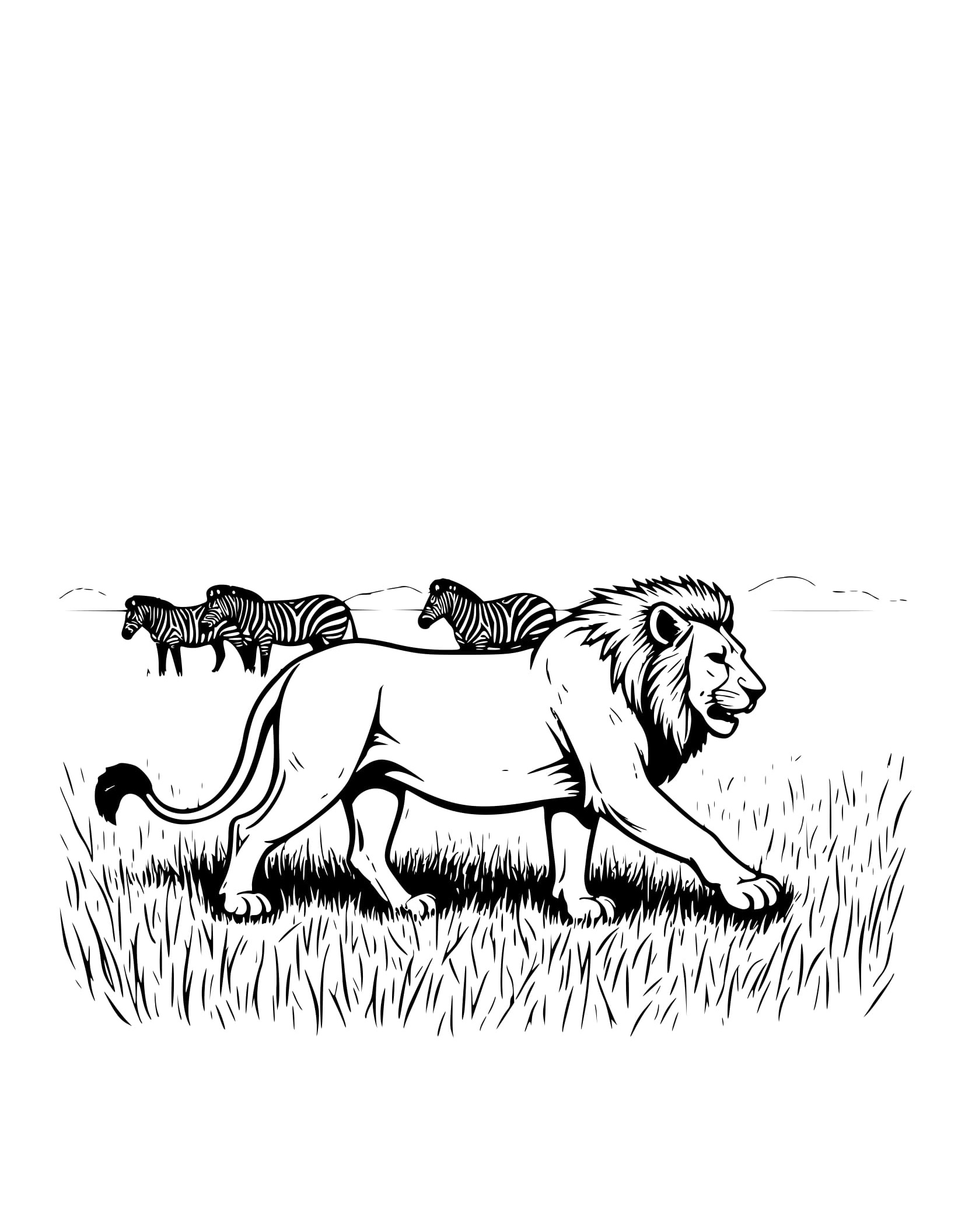 Desenho Leão Caminhando na Grama de Colorir