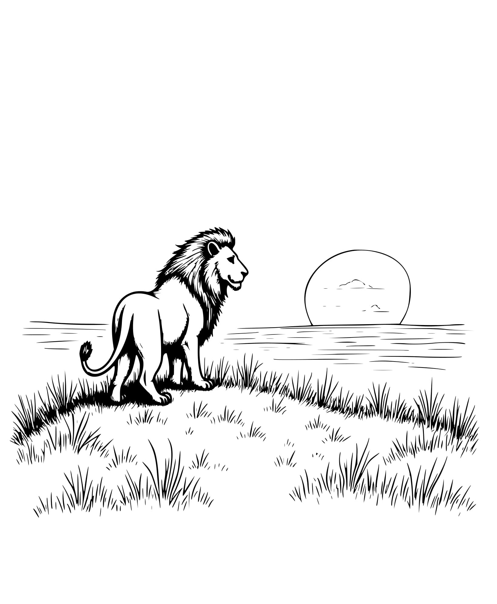 Desenho Leão Observando o pôr do sol de Colorir